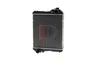 440829S Radiator, racire motor AKS DASIS