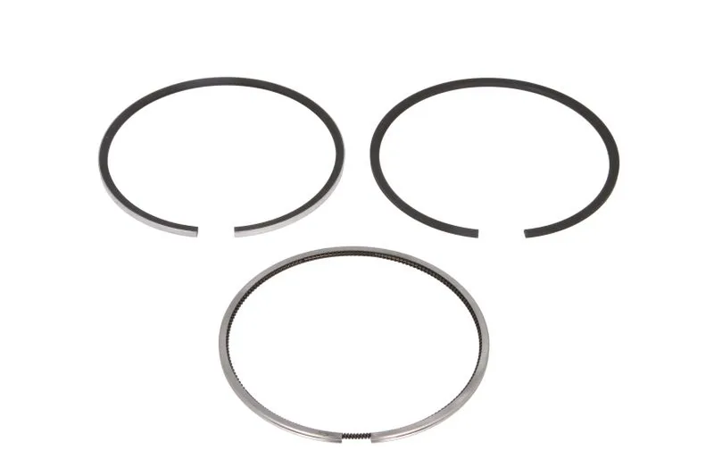800117310050 Set segmenti piston KOLBENSCHMIDT