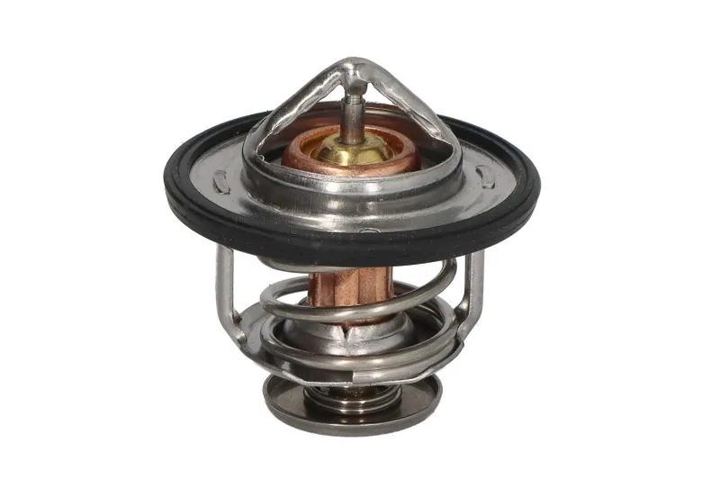 Termostat,lichid racire
