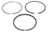 AR55759-FP Set segmenti piston FP DIESEL