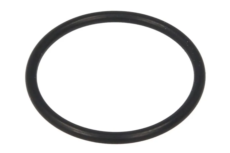 28144 Set reparatie, diferential CARRARO