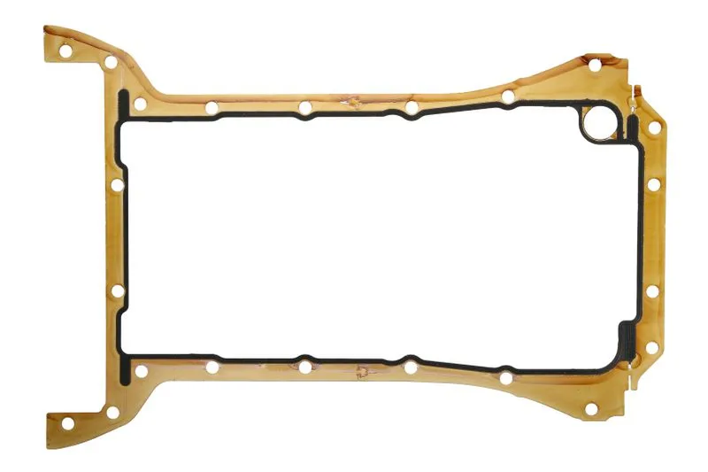 504164360 Garnitura pompa ulei FPT