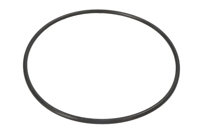 0634303345 Etansare ulei, transmisie manuala ZF