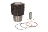 Set raparatii, piston/bucsa cursa cilindru