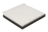 SKL49022 Filtru, aer habitaclu SF