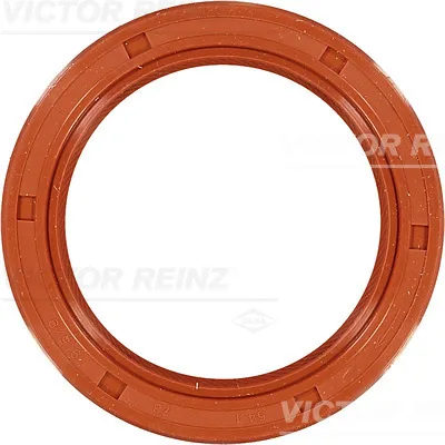 81-10238-00 Simering, arbore cotit REINZ