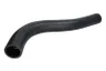 Furtun ear supraalimentare