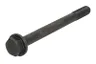 ENT005000 Surub chiulasa ENGITECH