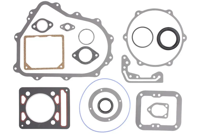 Set garnituri complet, motor