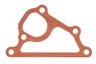 4235611 Garnitura, pompa de apa FP DIESEL