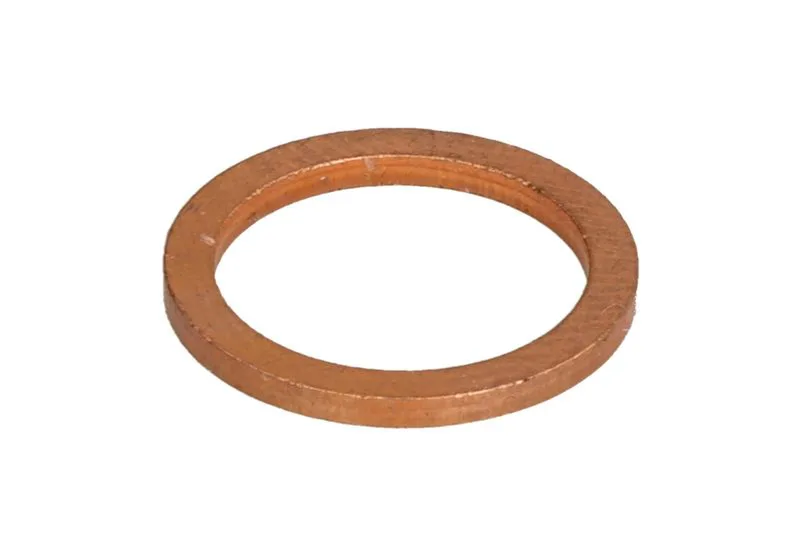 23262 Set reparatie, diferential CARRARO