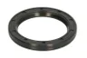 ENT020744 Simering, arbore cotit ENGITECH