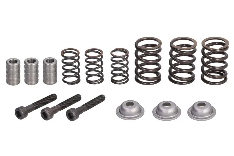 66975 Set reparatie, diferential CARRARO