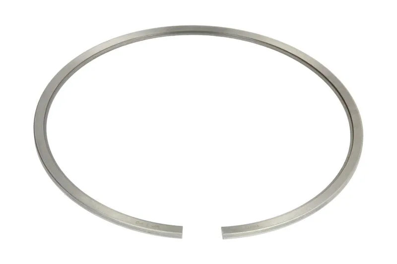 Segment piston