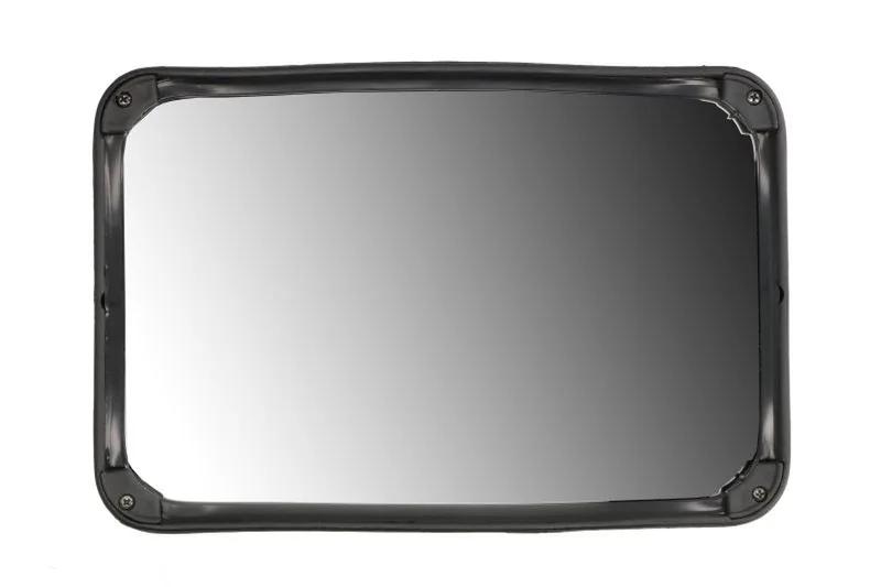 LP0260E12V Oglinda exterioara RYWAL