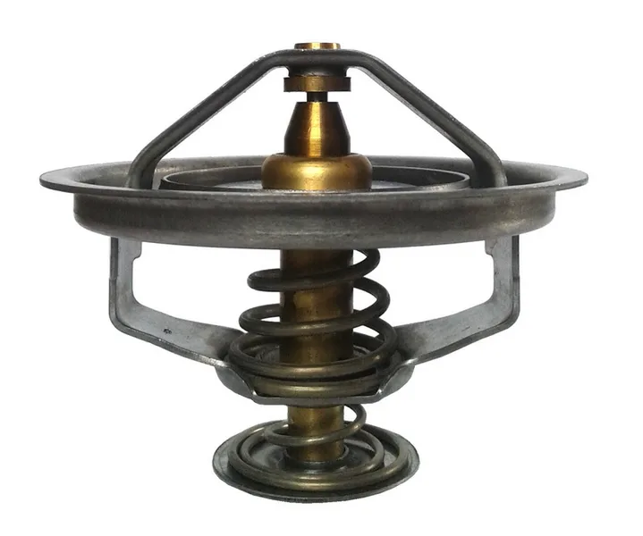Termostat,lichid racire