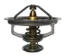 Termostat,lichid racire