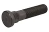 Bolt roata