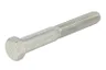 STR-40908 Surub, capac protector S-TR