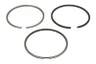 120015001100 Set segmenti piston NE