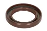 504127326 Simering, arbore cotit FPT