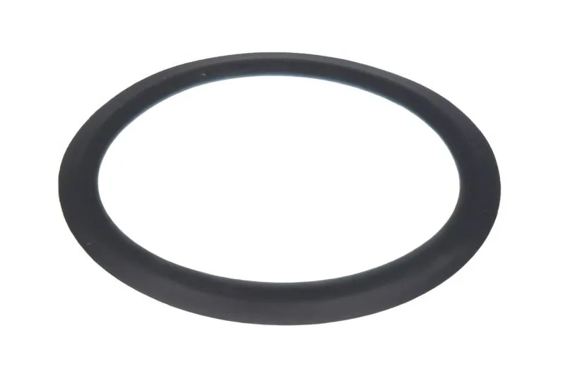 320/06524 Inel etansare, injector EXCAMEC