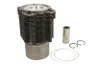 Set raparatii, piston/bucsa cursa cilindru