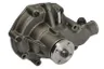WP-CA151 Pompa apa THERMOTEC
