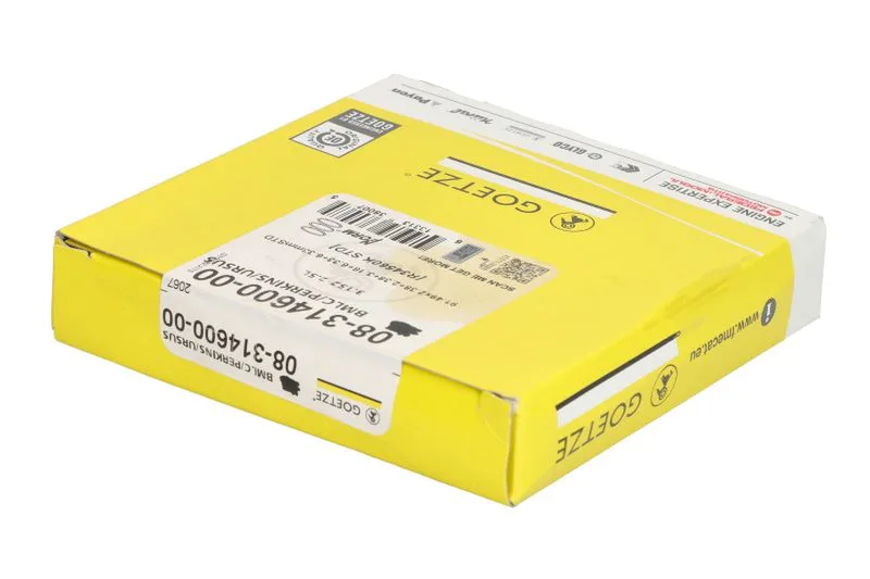 Set segmenti piston