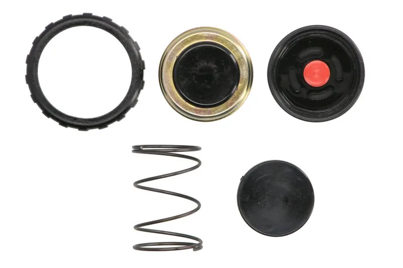Set reparatie, pompa combustibil