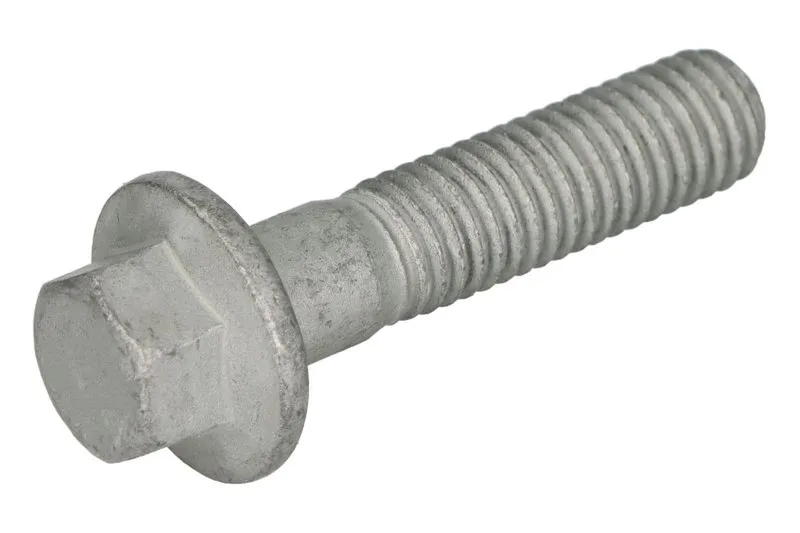 Surub chiulasa