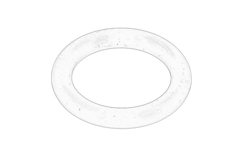 O-ring