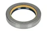 118675-CR Garnitura, diferential CARRARO