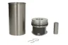 Set raparatii, piston/bucsa cursa cilindru
