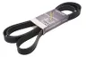 DAY8PK2580HD Curea transmisie cu caneluri DAYCO
