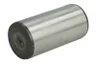 556836-CR Set reparatie, diferential CARRARO