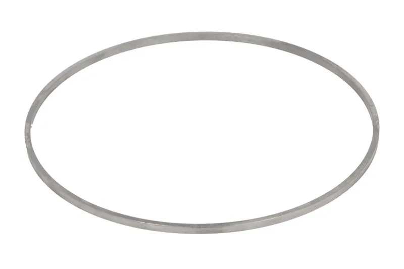 0730006678ZF Saiba distantier ZF