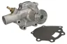 WP-CA117 Pompa apa THERMOTEC