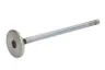 R520223 Supapa admisie FP DIESEL