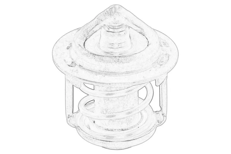 Termostat,lichid racire