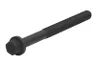ENT005007 Surub chiulasa ENGITECH