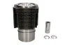 Set raparatii, piston/bucsa cursa cilindru