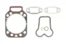 Set garnituri complet, motor