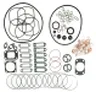 Set garnituri complet, motor