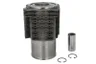 Set raparatii, piston/bucsa cursa cilindru