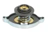 D30014TT Buson, radiator THERMOTEC