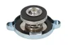 D30015TT Buson, radiator THERMOTEC