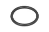 28531 Set reparatie, diferential CARRARO