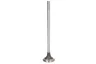 3686661-FP Supapa evacuare FP DIESEL