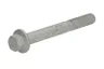 01181441 Surub chiulasa OE DEUTZ